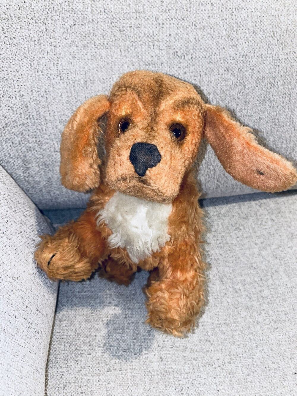 7” Antique Steiff Dog Puppy Stuffed Animal 1960s Made In Germany Button In Ear